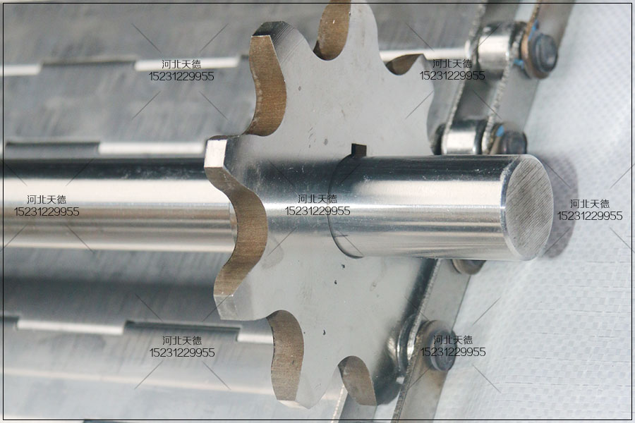 板式不銹鋼網帶